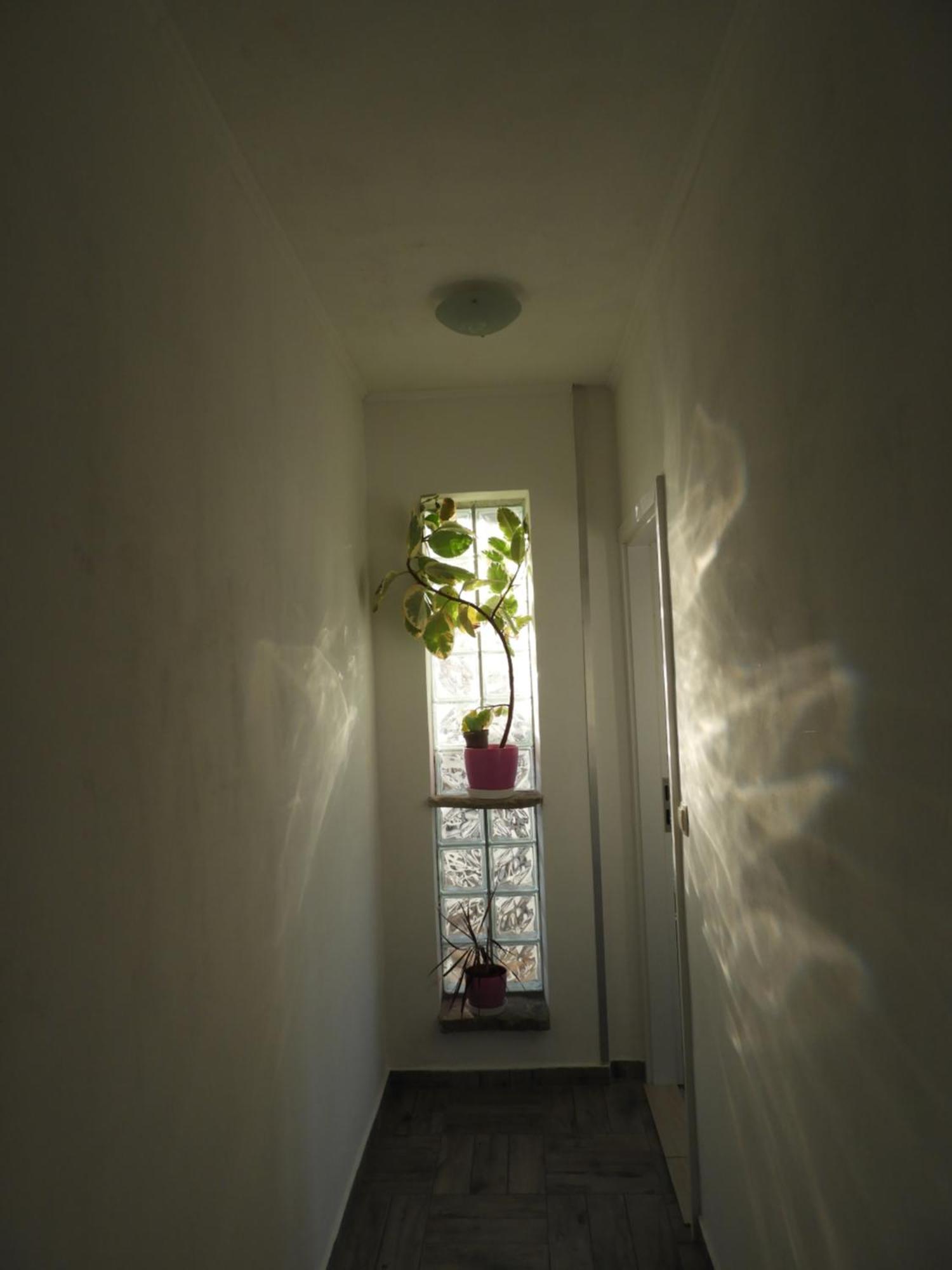 Apartman Pobuk Primošten Buitenkant foto